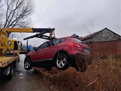 陇南楚雄道路救援